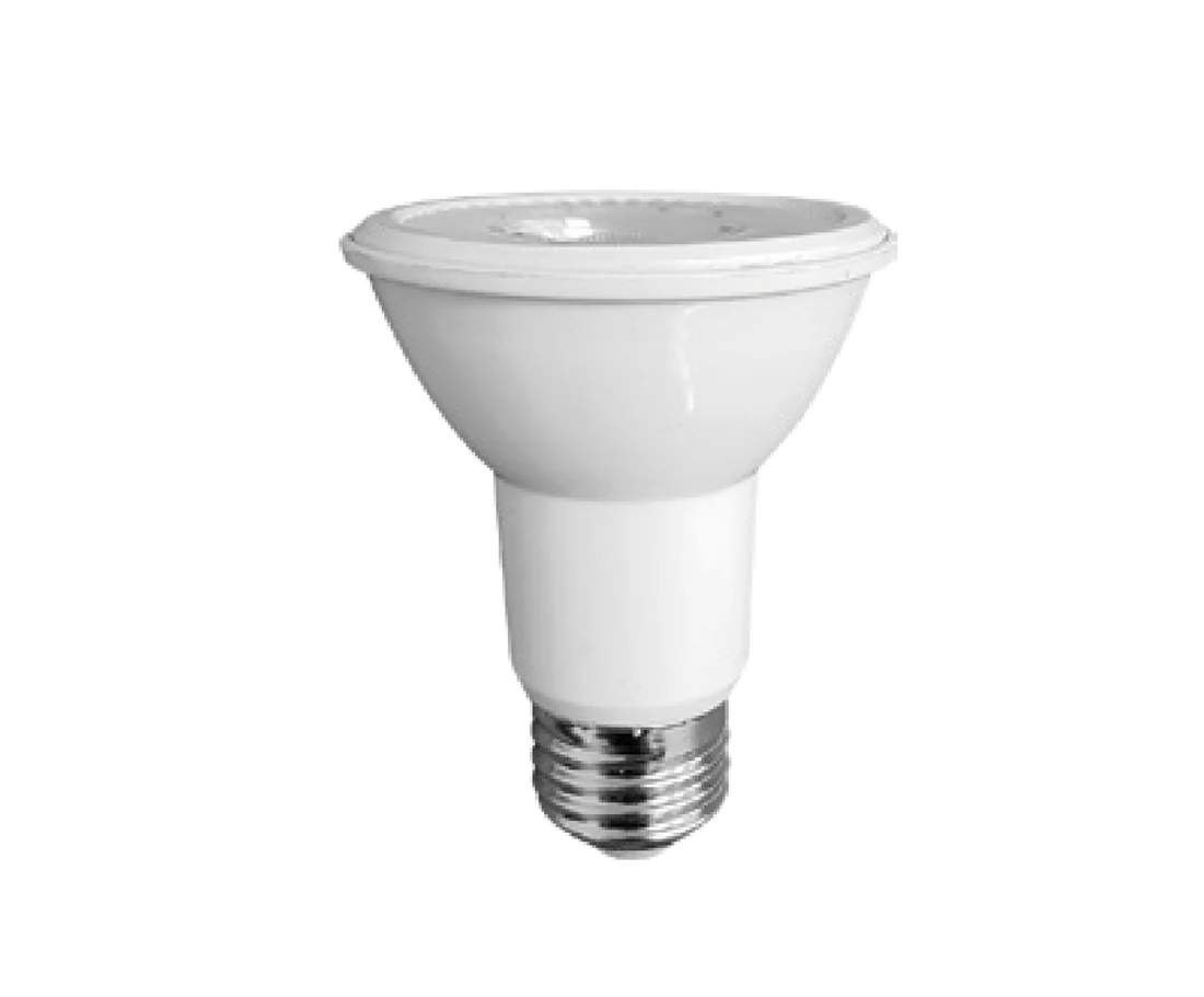Lámpara PAR2O de LED 8W 6500K